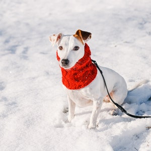 Dog snood knitting pattern/ Written and chart instructions / All sizes included: Italian Greyhound, Whippet, Saluki and others image 6