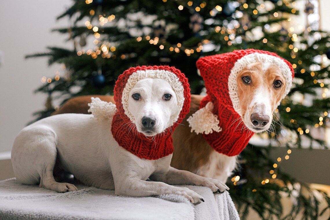 Christmas Dog Hat Knitting Pattern / Stepbystep Knit Etsy
