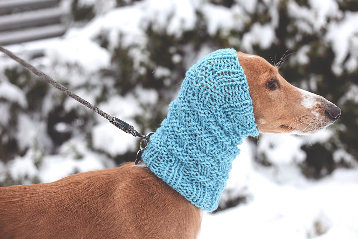 Wool dog snood / Custom made to order / Warm snood for dog / Etsy