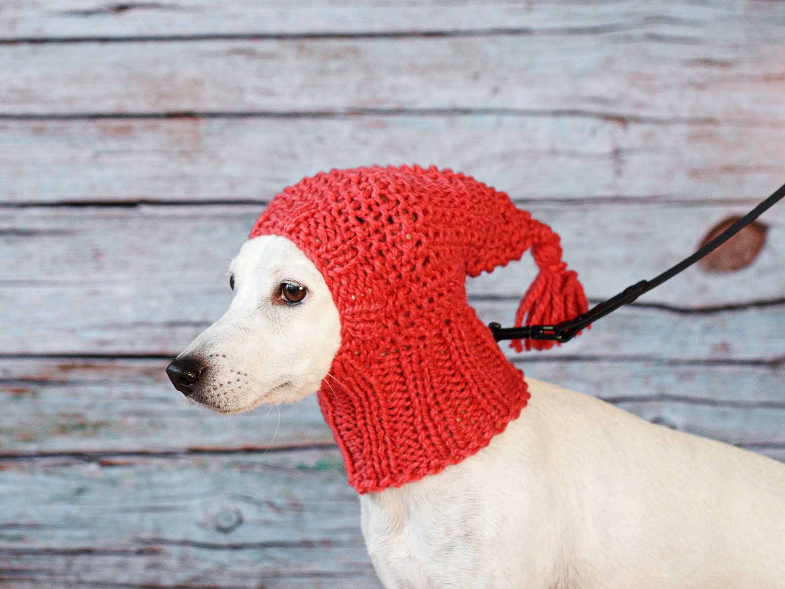 Illustrated Knitting Pattern for Dog Hat / Stepbystep Knit Guide