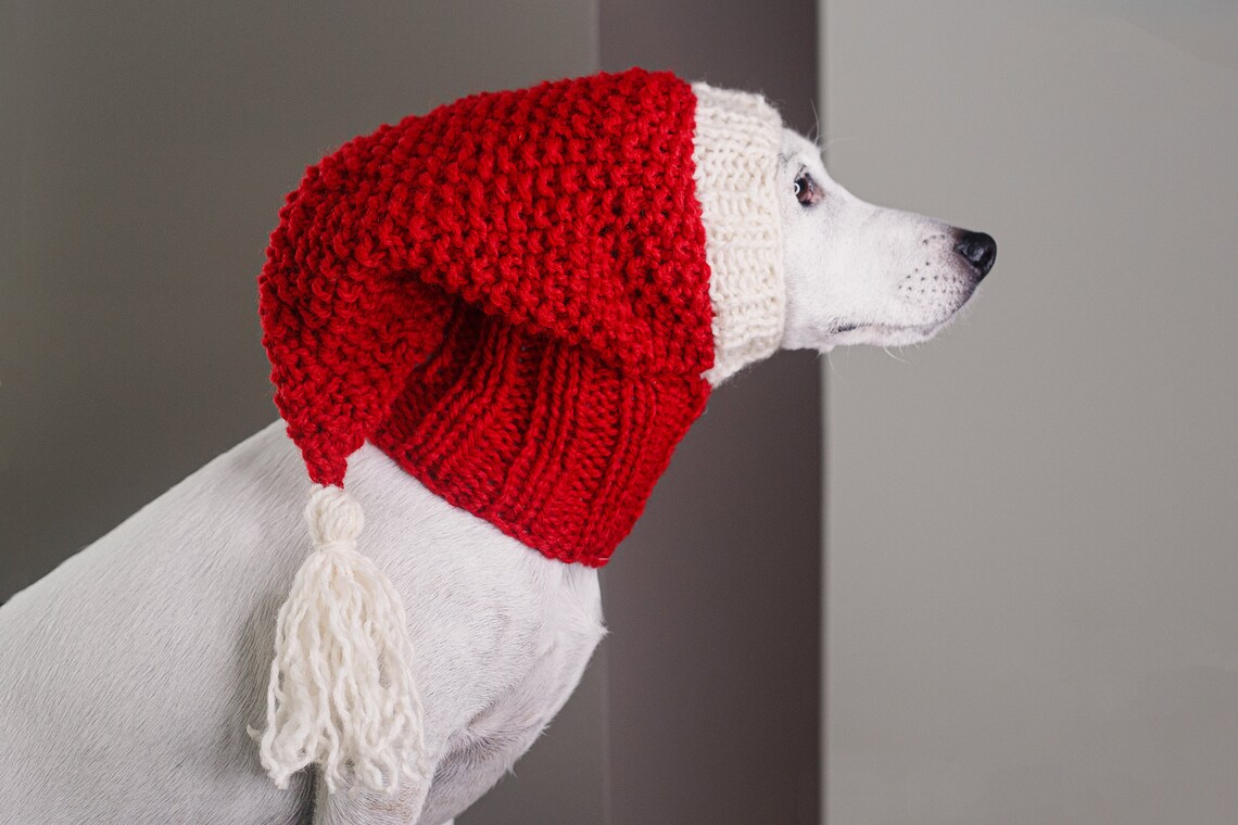 Christmas Dog Hat Knitting Pattern / Stepbystep Knit Etsy