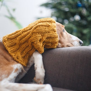 Dog snood knitting pattern/ Written and chart instructions / All sizes included: Italian Greyhound, Whippet, Saluki and others image 7