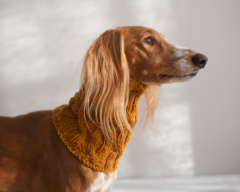 Dog snood knitting pattern/ Written and chart instructions / All sizes included: Italian Greyhound, Whippet, Saluki and others image 5