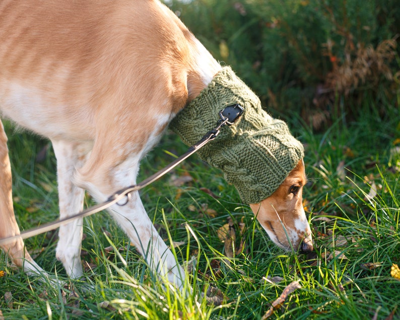 Dog snood knitting pattern / Winter snood for dog / Written and chart knitting instructions / All sizes included image 6