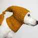 Illustrated Knitting Pattern for Dog Hat / Step-by-step Knit - Etsy