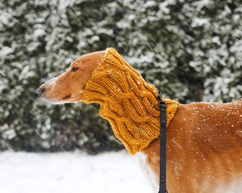 Dog snood knitting pattern/ Written and chart instructions / All sizes included: Italian Greyhound, Whippet, Saluki and others image 9