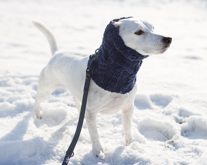 Dog snood knitting pattern / Winter snood for dog / Written and chart knitting instructions / All sizes included image 10