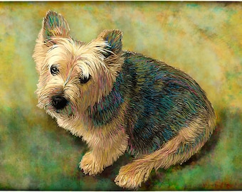 Custom Norwich Terrier Pet Portrait on Archival Paper - Artwork From Client Photo