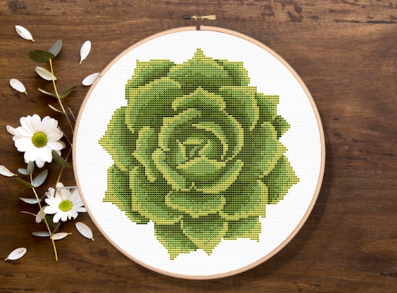 Succulent Cross Stitch Pattern, Plants Cross Stitch Pattern, Nature Pattern, Modern Cross Stitch Pattern, Download PDF #ff026