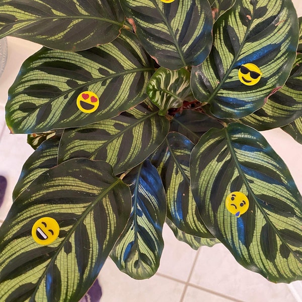 Plant-Moji Plant Magnets - set of 5 magnets to decorate your plants!