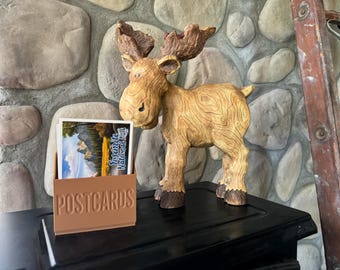 Postcard Storage Box: Travel Memory Organizer