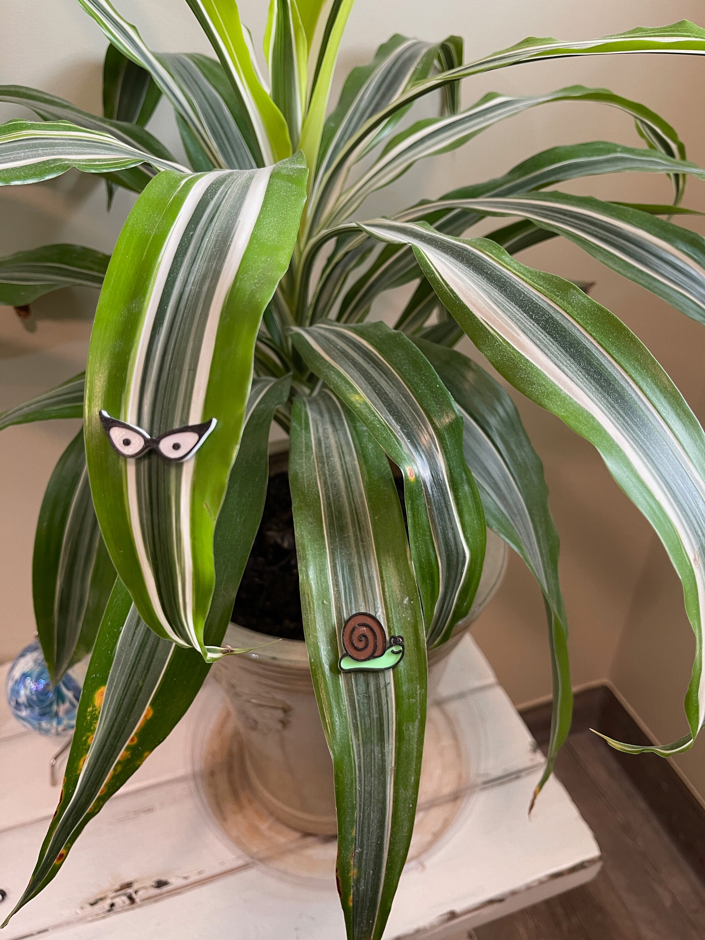 Set of Three Plant Mix and Match your favorite Etsy