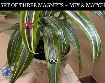 3D Printed Eyes, Glasses, and Insect Plant Accessory Magnet Set
