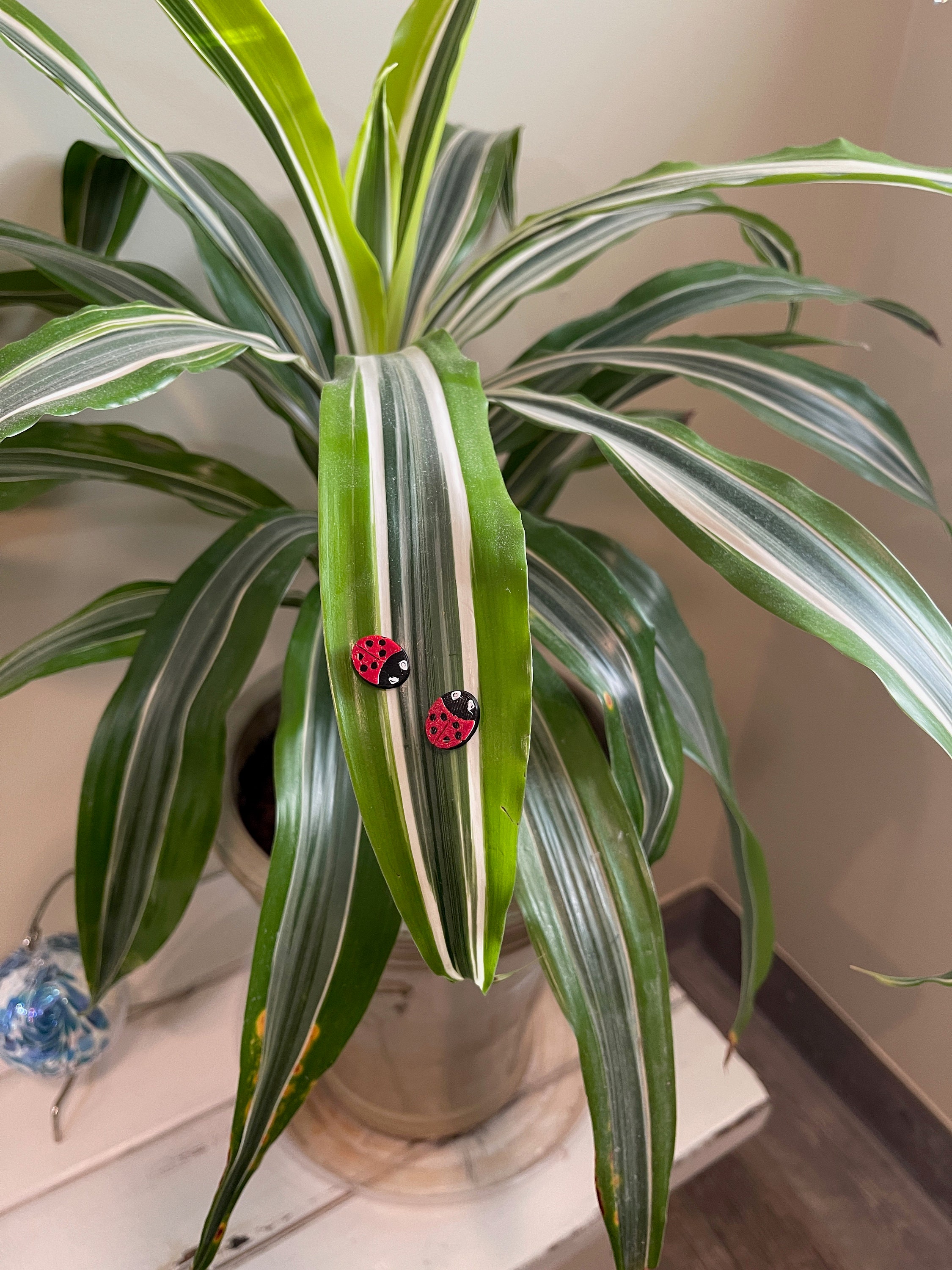 Set of Three Plant Mix and Match your favorite Etsy