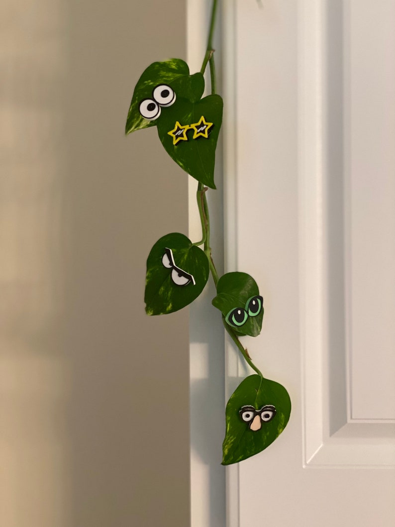 Set of Three Plant Mix and Match Your Favorites Etsy