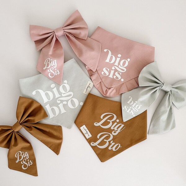 Big Bro Big Sis | Baby Announcement Dog Bandana or Bow; Tie-On dog accessory, pet, baby reveal, new baby, pregnancy announcement, siblings