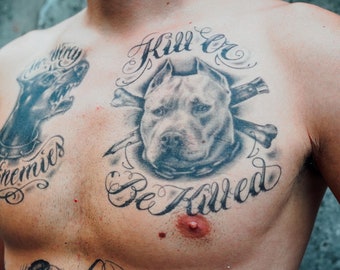 Pit Bull Tattoos And Meanings Pit Bull Tattoo Designs And Ideas Pit Bull  Reputation And History  HubPages