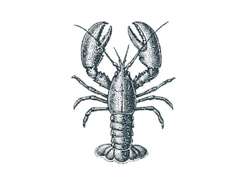 Lobster Tattoo - Lobster Temporary Tattoo / Realistic Lobster Tattoo / Dotwork Lobster Tattoo / Crustacean Tattoo / Cool Lobster Tattoo