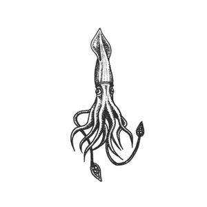 Puede incluir: Un dibujo en blanco y negro de un calamar con ocho tent&aacute;culos y dos aletas largas y puntiagudas. El calamar est&aacute; representado de forma estilizada, casi de dibujos animados.