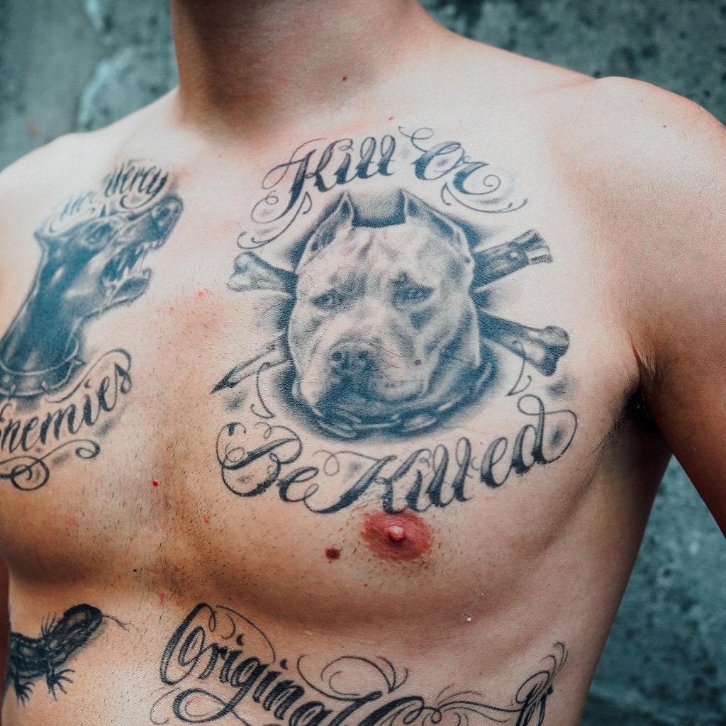 Kill or Be Killed Tattoo Pitbull Tattoo / Cholo Tattoo / - Etsy México