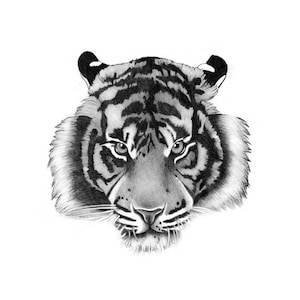 Tiger Tattoo - Temporary Tattoo / Tiger Temporary Tattoo / Black Tattoo /Realistic Temporary Tattoo /Animal Tattoo /Tiger Temporary Tattoo