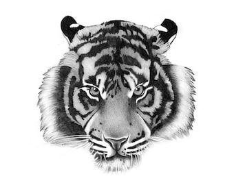 Tiger Tattoo - Temporary Tattoo / Tiger Temporary Tattoo / Black Tattoo /Realistic Temporary Tattoo /Animal Tattoo /Tiger Temporary Tattoo