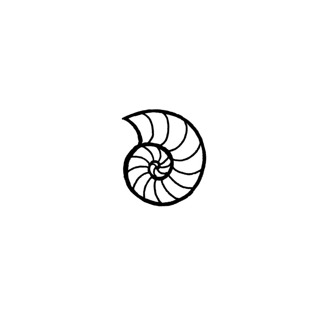 Minimalist Seashell set of 2 Seashell Temporary Tattoo / - Etsy Canada Minimalist Seashell set of 2 Seashell Temporary Tattoo / - Etsy Canada