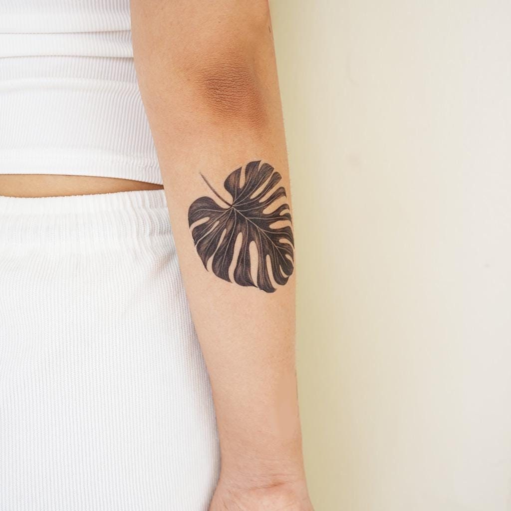 てち　超希少　本物　モンステラ　デリシオーサ　タトゥー　フィロデンドロン モンステラ デリシオサ リーフ - モンステラ リーフ タトゥー