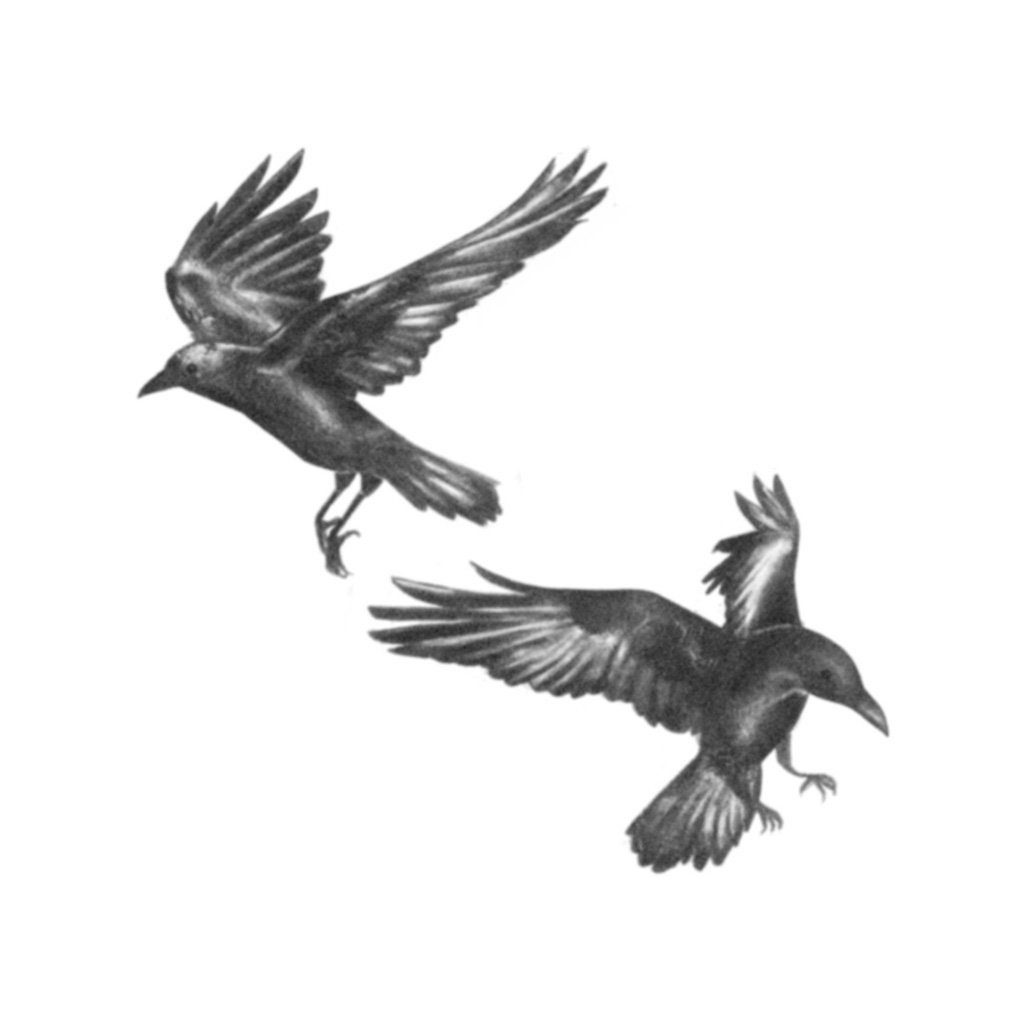 Huginn & Muninn Raven Temporary Tattoo / Huggin and Muninn - Etsy Norway