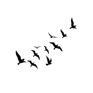 Free Like a Bird Flying Birds Tattoo / Flock of Birds Temporary Tattoo ...
