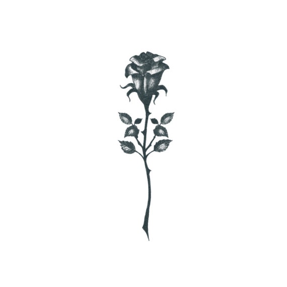 Rosa negra Tatuaje temporal rosa / Rosa de esternón negro / - Etsy México Rosa negra Tatuaje temporal rosa / Rosa de esternón negro / - Etsy México