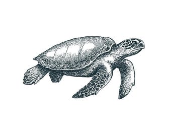 Turtle Tattoo - Turtle Temporary Tattoo / Dotwork Turtle Tattoo / Realistic Temporary Tattoo / Aquatic Animal / Sea Turtle Tattoo