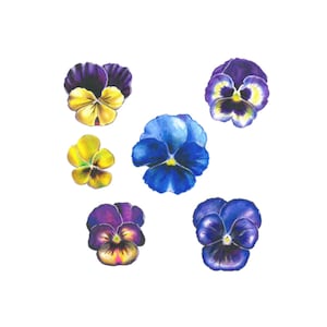Stiefmütterchen Set (6er Set) - Bunte Blumen Tattoo / Stiefmütterchen Tattoo / Wildes Stiefmütterchen Tattoo / Nacht und Tag Tattoo / Antirrhinum Tattoo