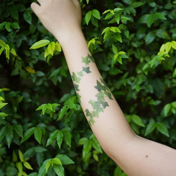 Englischer Efeu (2er Set) - Efeu temporres Tattoo / Hedera Helix Tattoo /  englisches Efeu Tattoo / Blumen Tattoo / Frau Tattoo / Blume Tattoo -  Etsy.de