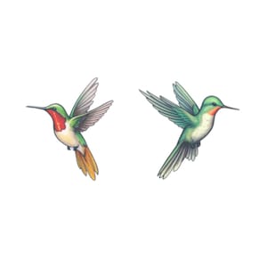 Liefhebbers van kolibries (set van 2) - tijdelijke tattoo kolibrie / tatoeages voor stellen / tatoeages voor koppels / liefdetattoo / kolibrietattoo