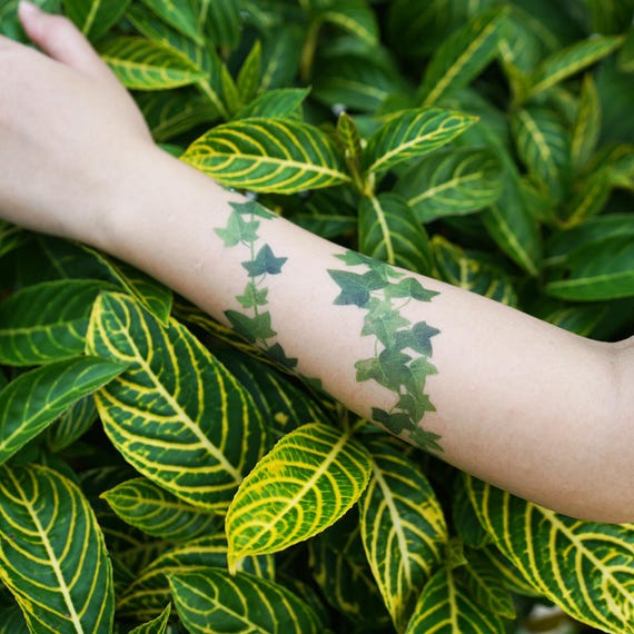 Englischer Efeu (2er Set) - Efeu temporres Tattoo / Hedera Helix Tattoo /  englisches Efeu Tattoo / Blumen Tattoo / Frau Tattoo / Blume Tattoo - Etsy  sterreich
