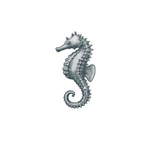 May include: Detailed black and white illustration of a seahorse. The seahorse is depicted in a side profile, showcasing its curved body, spiky dorsal fin, and curled tail. The image is set against a plain white background.