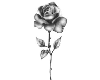 Realistic Black Rose - Temporary Tattoo / Rose Temporary Tattoo / Black Rose / Floral Temporary Tattoo /Rose Tattoo /Flower Temporary Tattoo