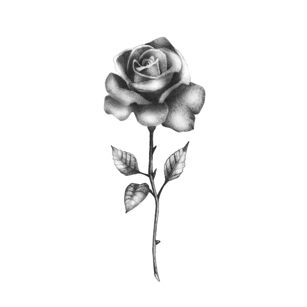Realistic Black Rose Temporary Tattoo / Rose Temporary | Etsy