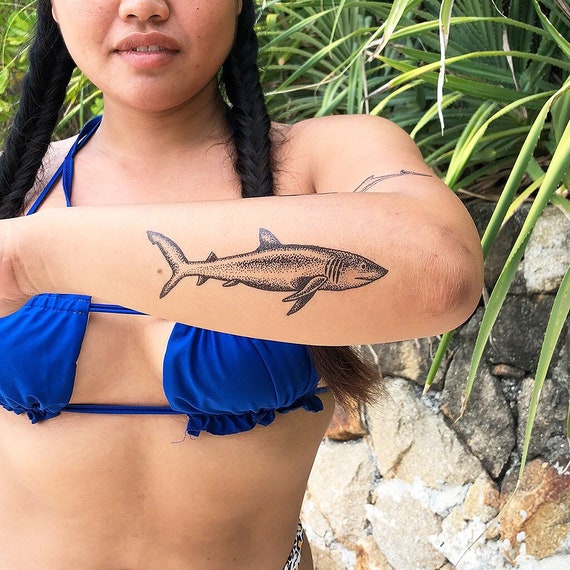 Great White Shark chest piece  Blvk Temple Tattoo Cairns  Facebook