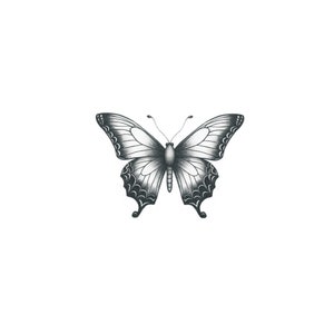 May include: A black and white butterfly with intricate wing patterns. The butterfly is drawn in a realistic style and has a delicate appearance.