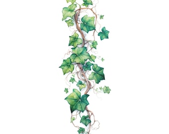 Realistic Ivy Tattoo - Temporary Tattoo / Ivy Women Tattoo / Beautiful Ivy Tattoo / Hedera Tattoo / Tattoos for Women / English Ivy Tattoo
