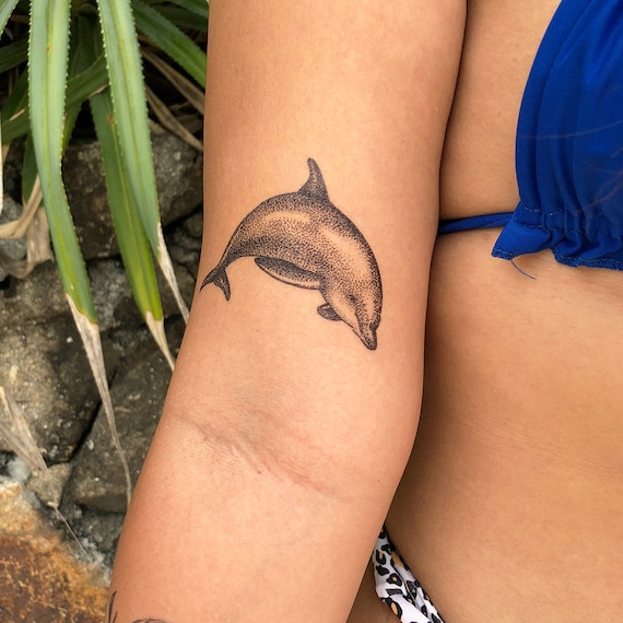 Small Dolphin By Ann Lilya Temporary Tattoo - Set of 3 – Little Tattoos
