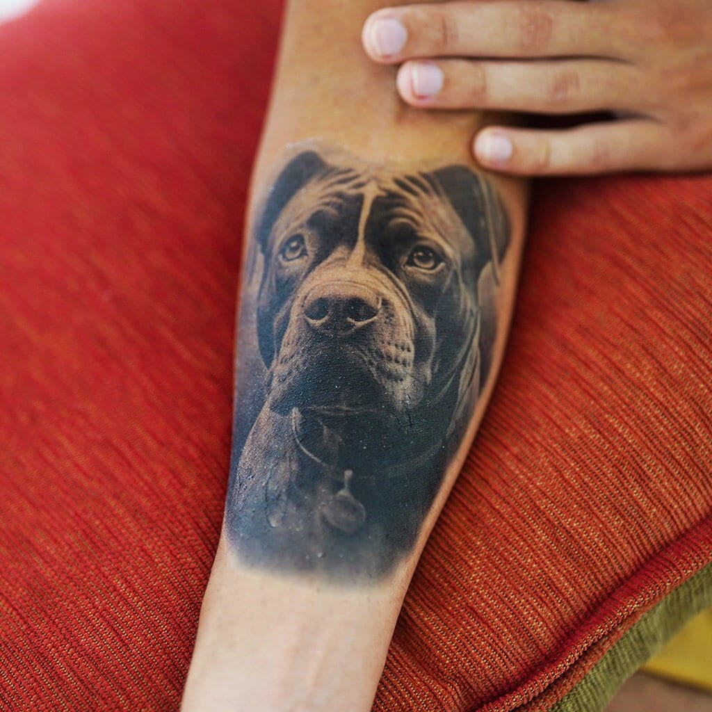 Dieren tattoo – Vegan tijdelijke tattoos | Temporalis®, image size:1024x1024