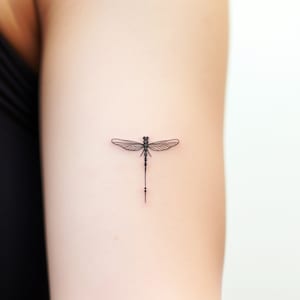 Minimalist Dragonfly Tattoo (Set of 2) - Dragonfly Temporary Tattoo / Minimalist Dragonfly Tattoo / Realistic Tattoo / Small Dragonfly
