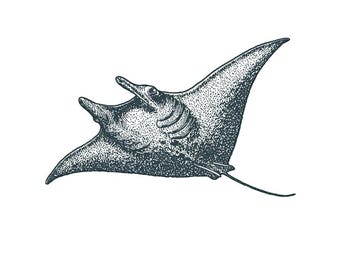 Manta Ray Tattoo - Manta Ray Temporary Tattoo / Realistic Manta Tattoo / Aquatic Animal Tattoo / Sea Creature Tattoo / Dotwork Manta Tattoo
