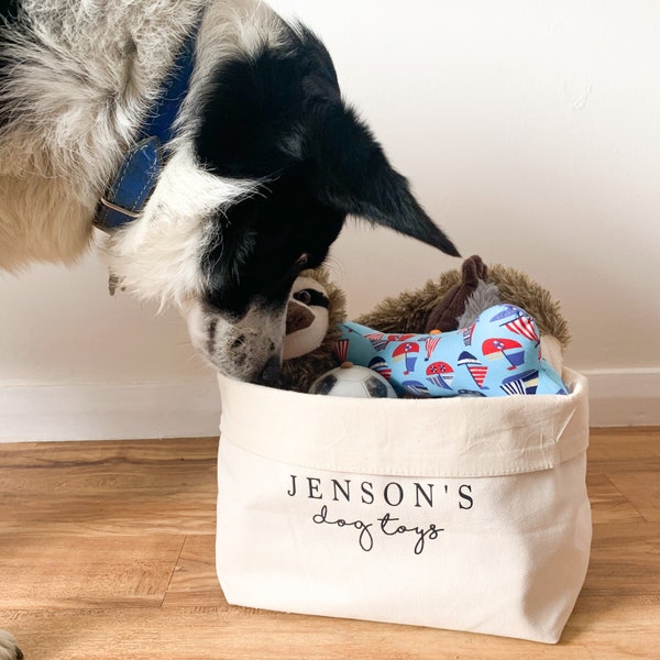 Pet Wall Organizer Etsy