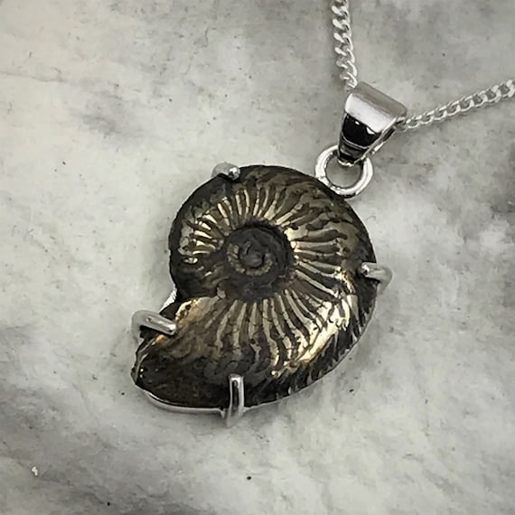 Fossil Ammonite in Sterling Silver Pendant