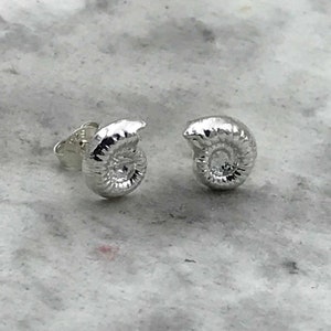 Ammonite stud earrings - Sterling Silver
