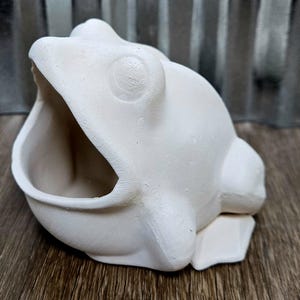 Könnte beinhalten: Ein weißer Keramikbehälter in Froschform mit offenem Mund, ideal zum Aufbewahren kleiner Gegenstände. Der Frosch hat große, runde Augen und eine strukturierte Oberfläche. Der Behälter steht auf einer Holzoberfläche.